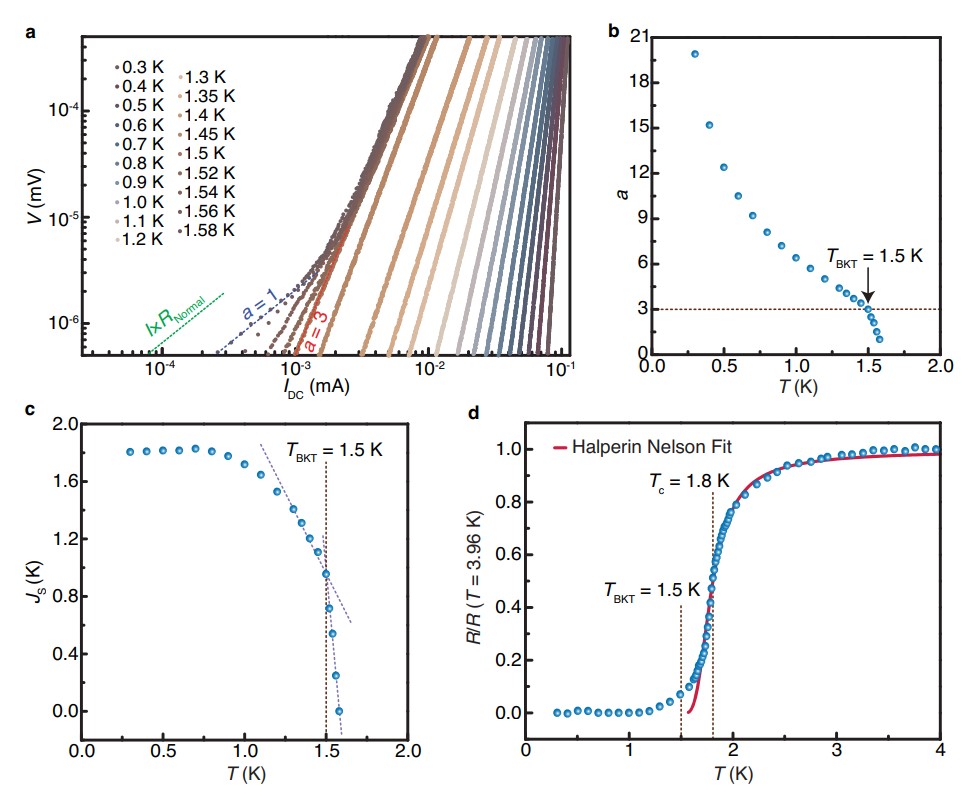 Surface Superconductivity in a topological metal
