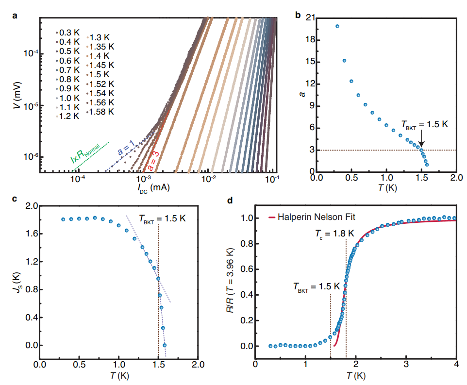 Surface Superconductivity in a topological metal